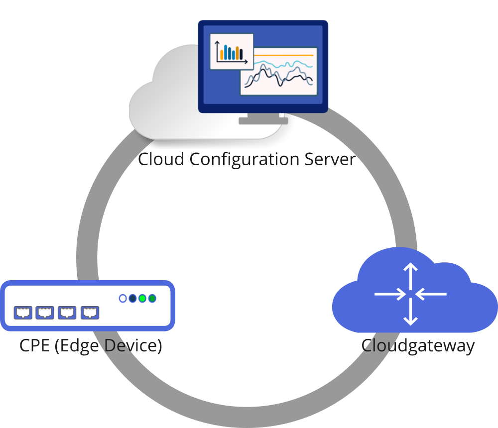 Grafische Darstellung: SD-WAN Komponenten